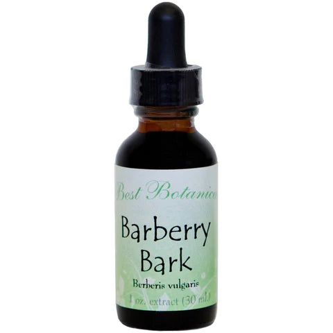 Barberry Root Bark Extract 1 oz.