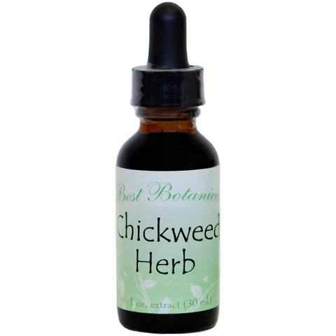 Chickweed Herb Extract 1 oz.