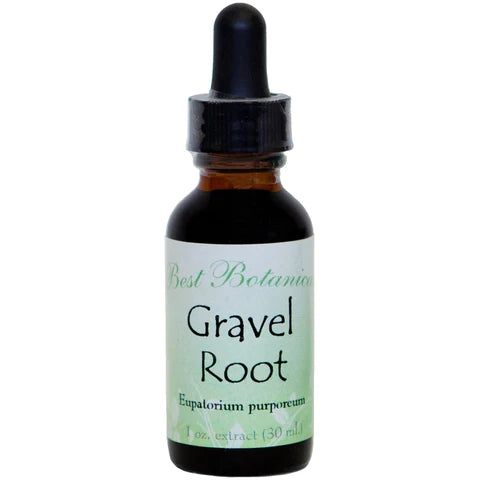 Gravel Root Extract 1 oz.