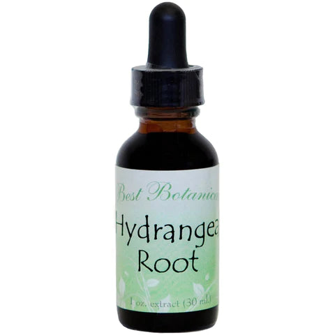 Hydrangea Root Extract 1 oz.