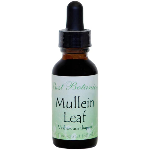 Mullein Leaf Extract 1 oz.