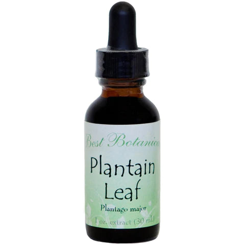 Plantain Leaf Extract 1 oz.