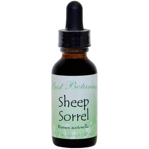 Sheep Sorrel Extract 1 oz.