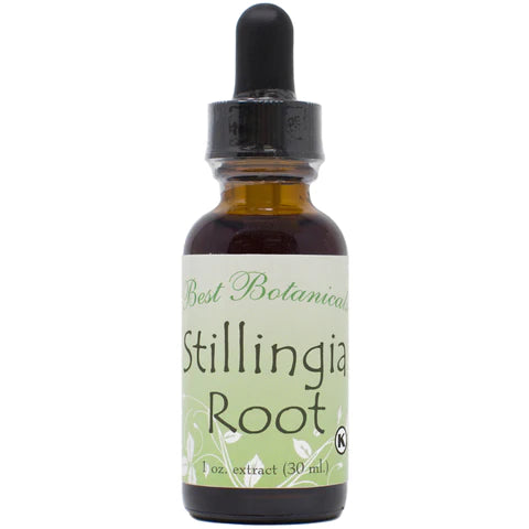 Stillingia Root Extract 1 oz.