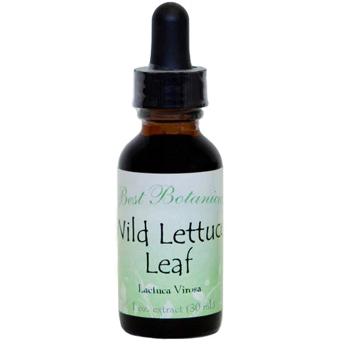 Wild Lettuce Leaf Extract 1 oz.