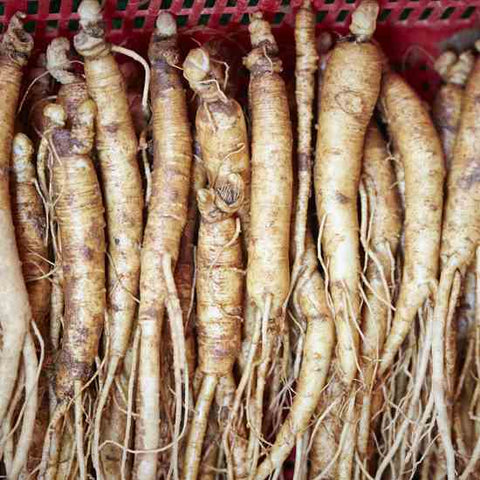 American Ginseng Root